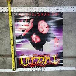 Lot de 26 affiches utilisées de l'Insane Clown Posse (ICP) en condition variée